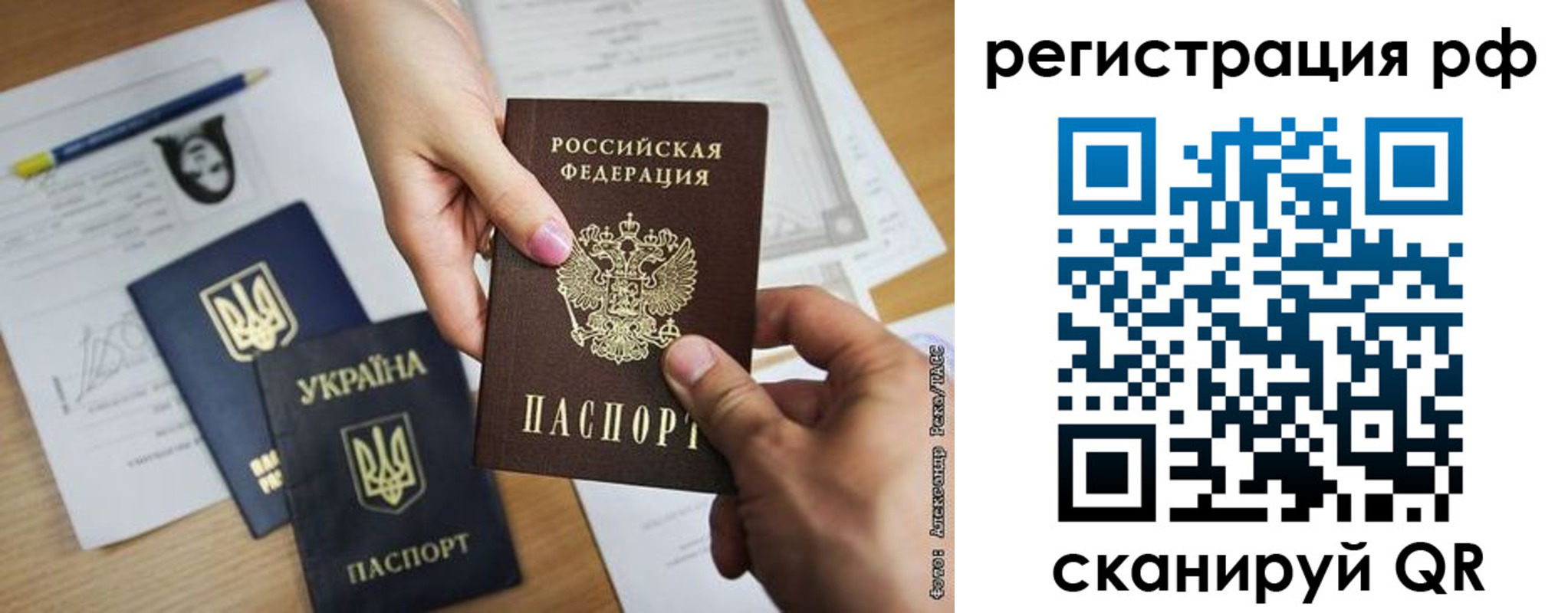 прописка 2025 в Ельне