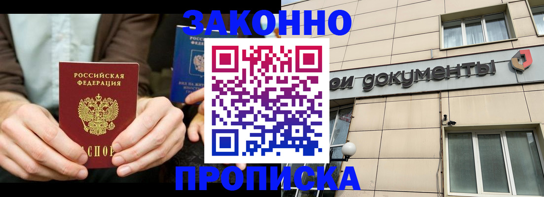 прописка поиск в Ельне
